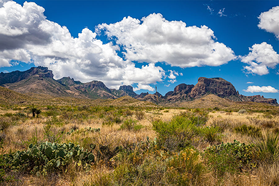 Casa Grande and Chisos Basin as seen from near Panther Junction with fluffy white clouds in a brilliant blue sky