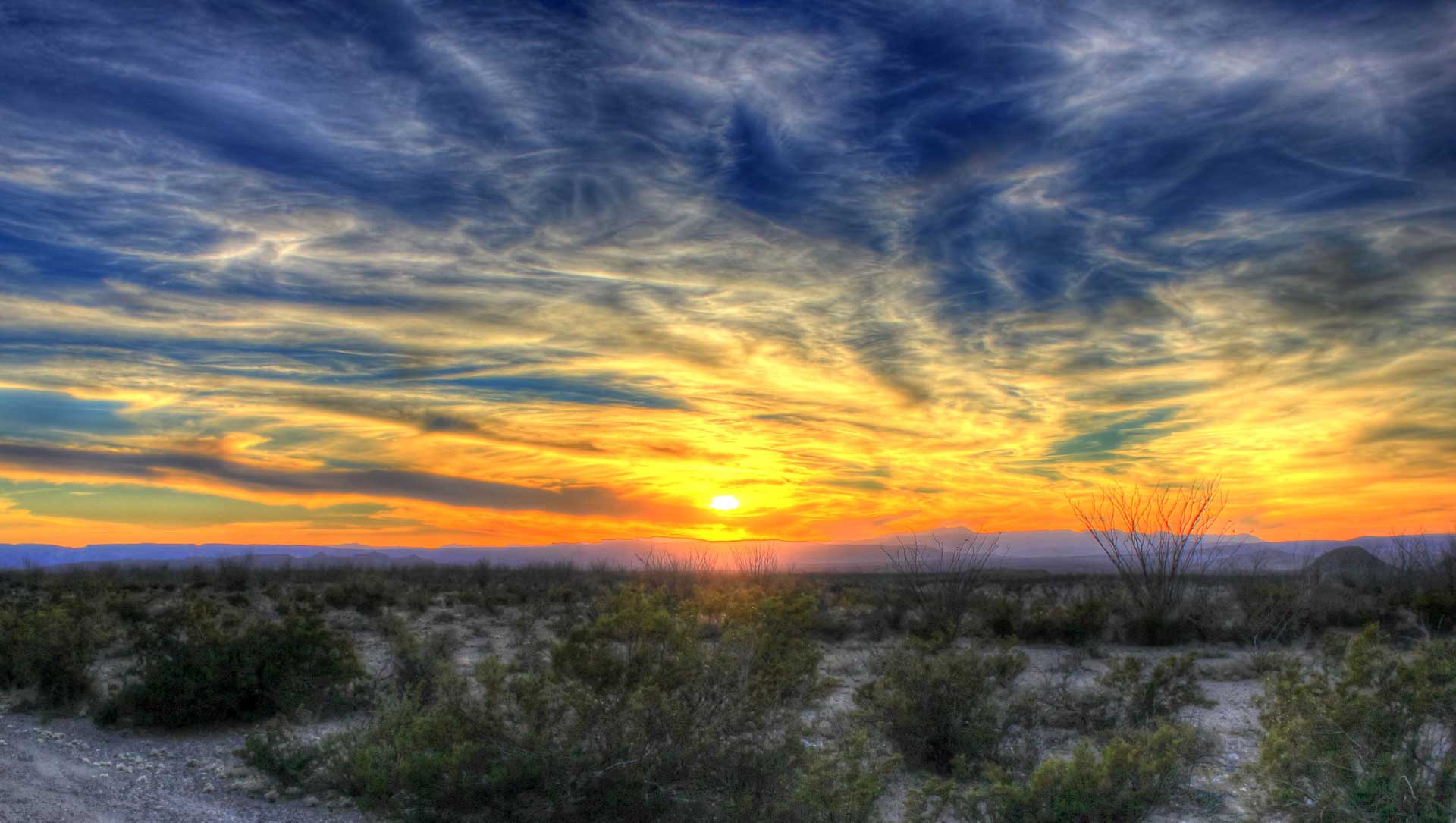 Beautiful sunset with wispy clouds and brilliant yellows and oranges with desert plants in the foreground, including ocatillo and scrub brush